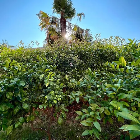 Belle Maison Apartment